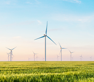 非洲赤道几内亚政府官员一行赴必赢亚洲旅行考察