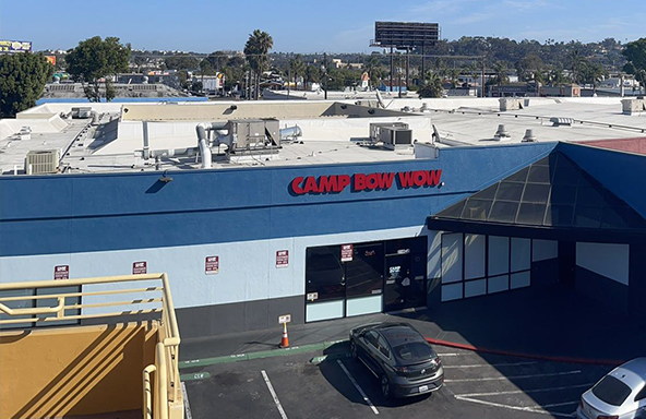 必赢亚洲(中国区)官方网站